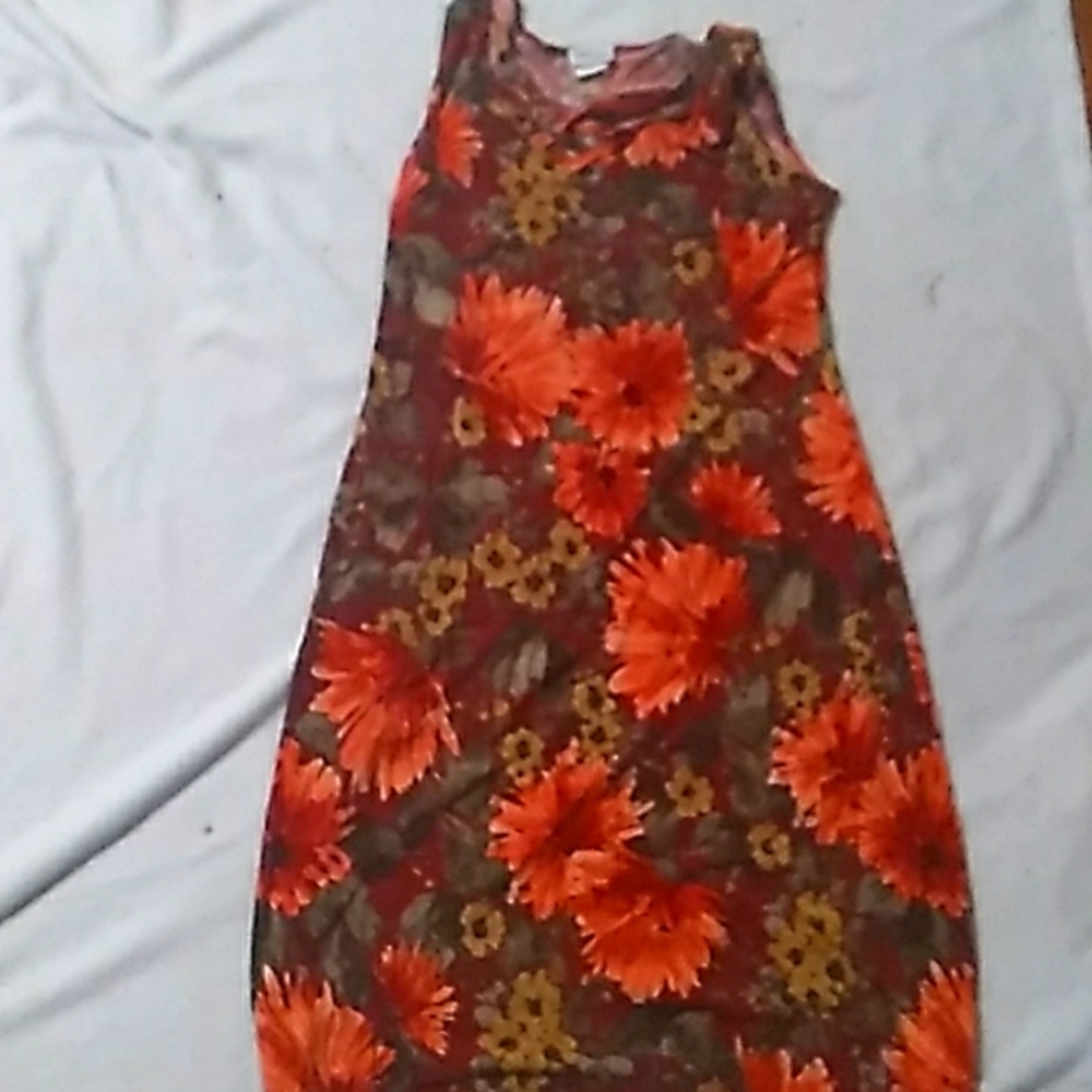 Georgio Fiorlini Small Dress